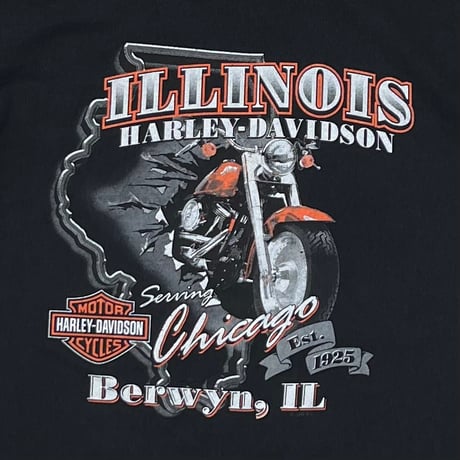 HARLEY DAVIDSON SPIDER ILLINOIS CHICAGO LS LARGE 5958