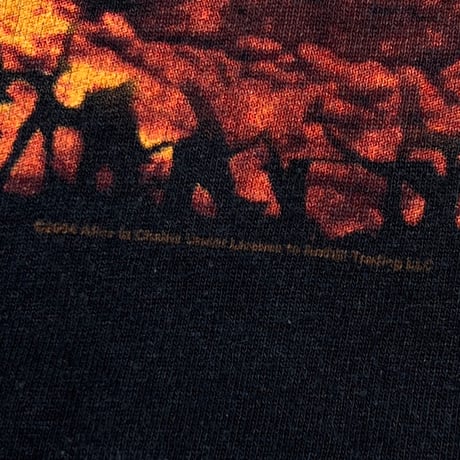 ALICE IN CHAINS 2004 DIRT ANVIL XL 2374