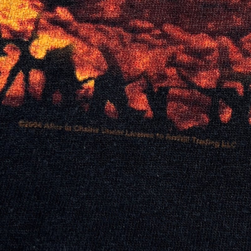 ALICE IN CHAINS 2004 DIRT ANVIL XL 2374 | great