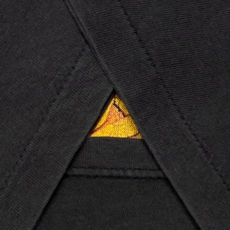 PINK FLOYD 1994 SUN DIAL NORTH AMERICAN TOUR 1994 BROCKUM LARGE 7815