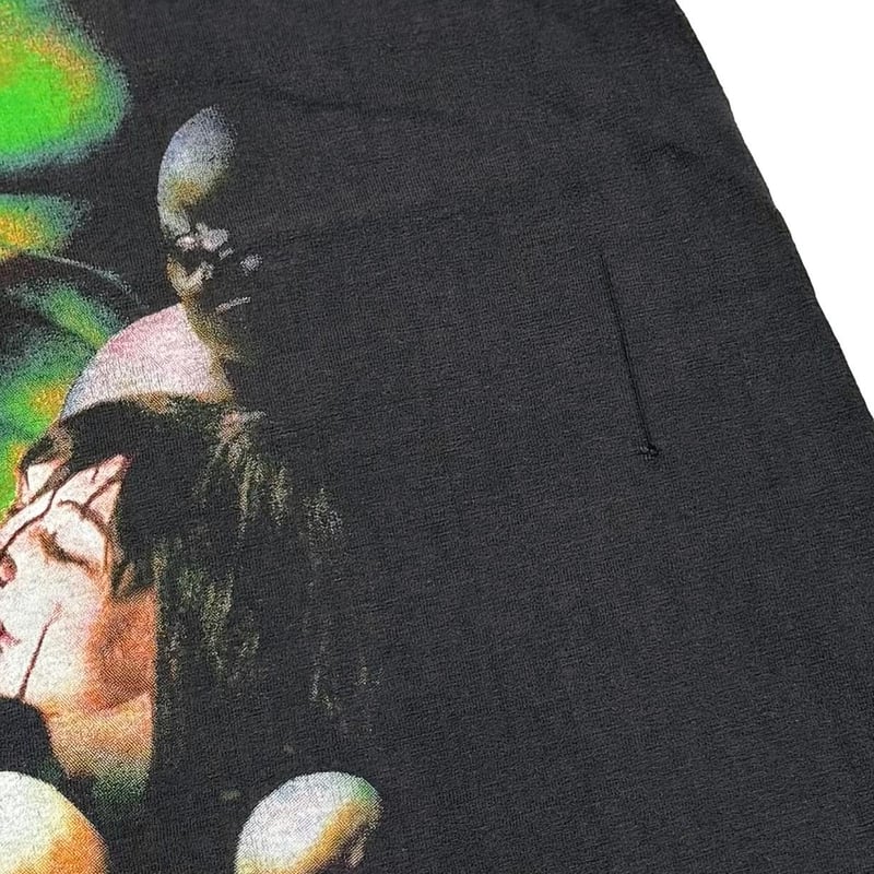Schwarz Stain Last Hallucination パンフレット CRADLE OF FILTH 1999 CANVAS FOR A LICK OF PAIN
