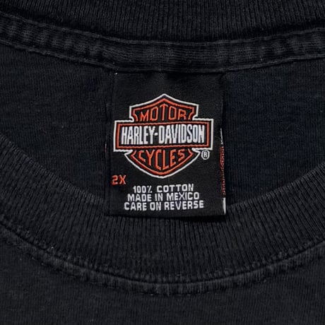 HARLEY DAVIDSON	2007 PINNUP GIRLS ARM FLAME LS XXL 1003