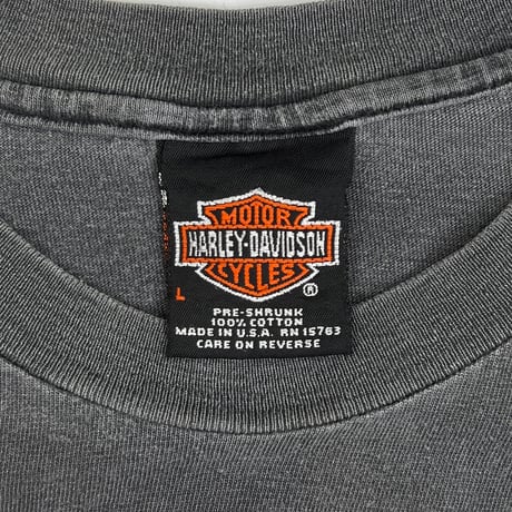 HARLEY DAVIDSON 2000 FLAME EAGLE LS SANTA CRUZ HANES LARGE 2253