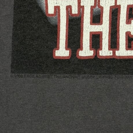 RAGE AGAINST THE MACHINE 2000 WORLD TOUR CHACOAL GIANT FITS LARGE 2238