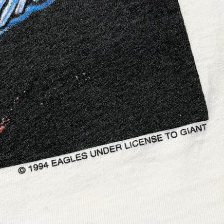EAGLES HOTEL CALIFORNIA HELL FREEZES OVER GIANT LARGE 5949