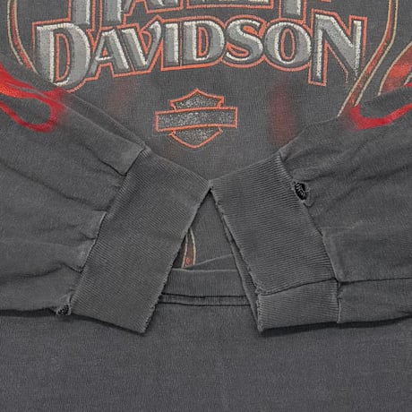 HARLEY DAVIDSON FRONT V FLAME SANDY'S LS FITS LARGE 8351