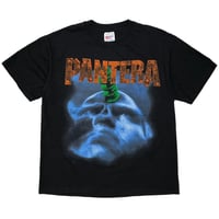 PANTERA FAR BEYOND DRIVEN WORLD TOUR 1994 HANES LARGE 7370