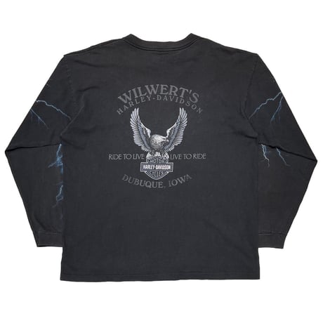 HARLEY DAVIDSON BLUE LIGHTNING THUNDER LS XL 8164