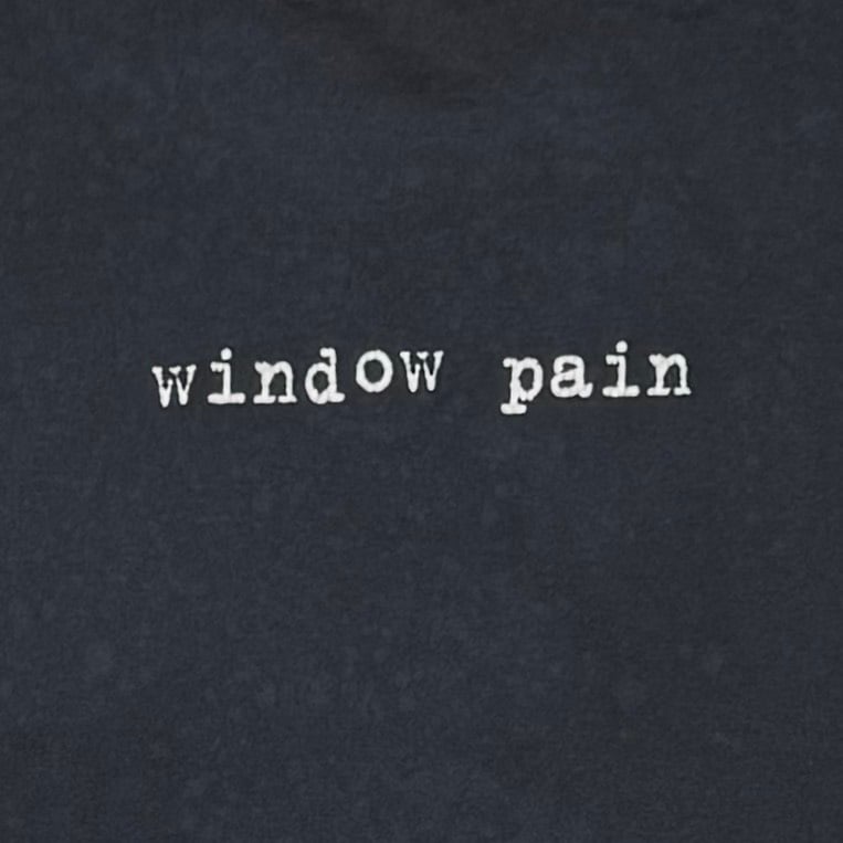 PEARL JAM WINDOW PAIN TOP HEAVY XL 1748 | great