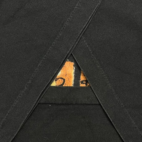 PEARL JAM WINDOW PAIN FITS LARGE 3657