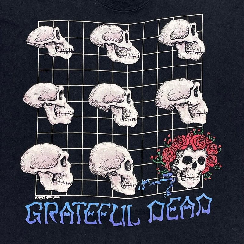 GRATEFUL DEAD 1993 WHAT A LOMG STRANGE TRIP IT'