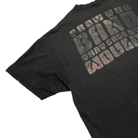 ALICE IN CHAINS FROM THE BAND FITS XL 4234