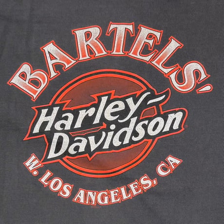 HARLEY DAVIDSON BIG EMBLEM ARM CHAIN PRINT 2002 BARTELS XL 3783