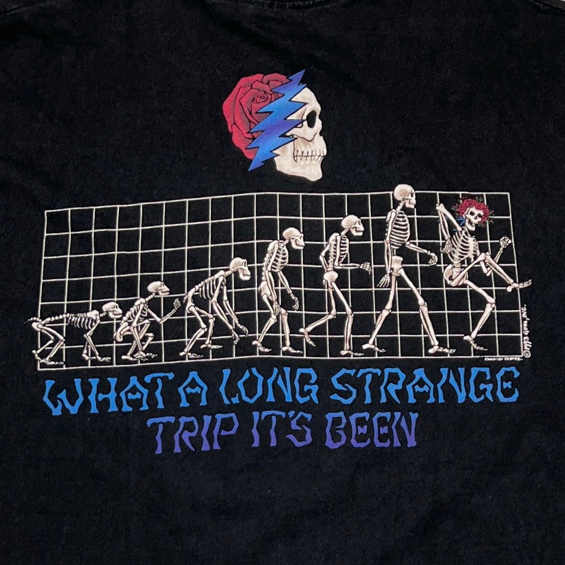 GRATEFUL DEAD What a Long Strange Trip It's Bee