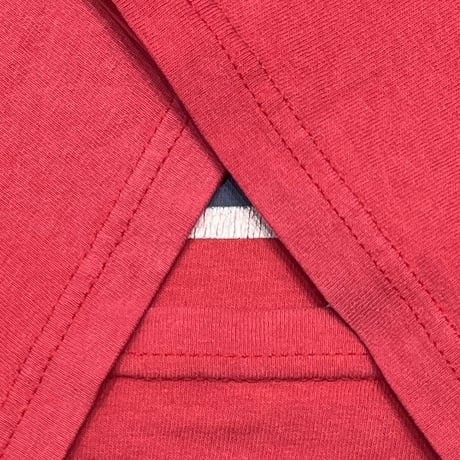 RAGE AGAINST THE MACHINE EVIL EMPIRE E LOGO RED GIANT BY TULTEX LARGE 8646