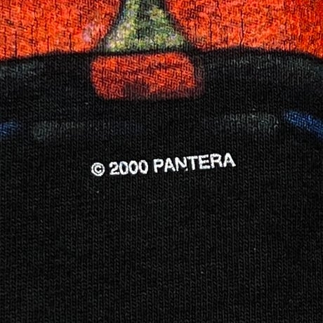 PANTERA HESHER DREAM NEKED GIRL 2000 TENNESSEE RIVER XL 3722