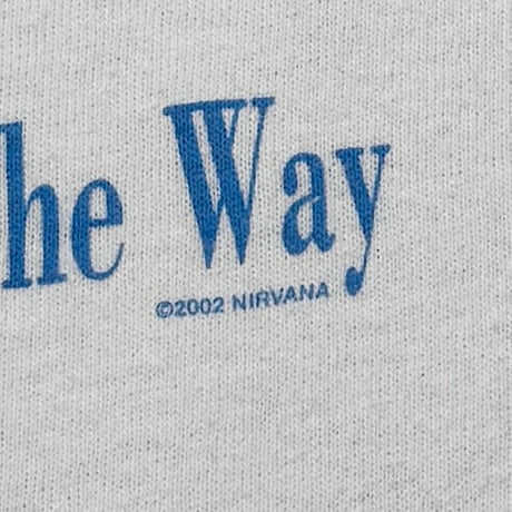 NIRVANA Y2K NEVERMIND ANVIL XL 0948