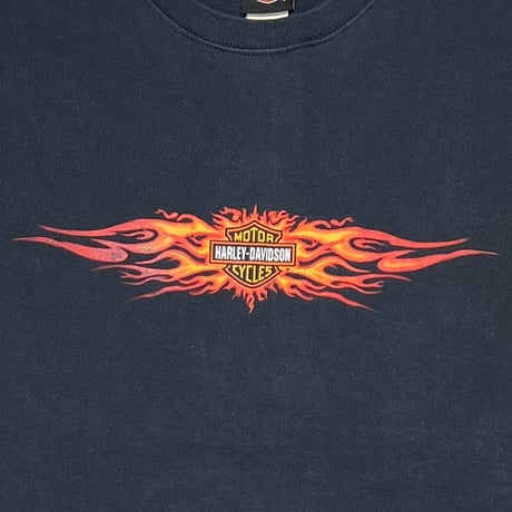 HARLEY DAVIDSON ARM FLAME LS COLORADO SPRING CO 2000 XXL 1004