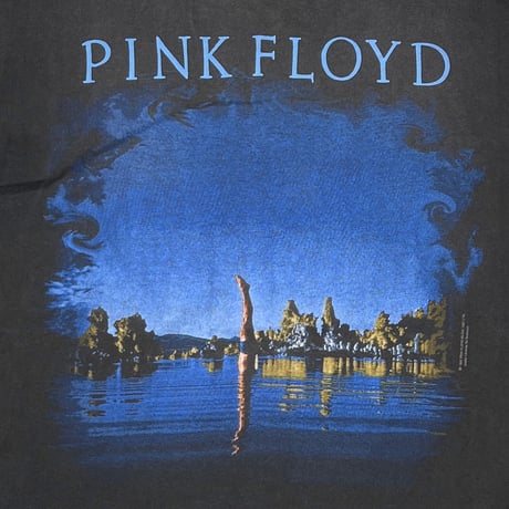 PINK FLOYD WISH YOU WERE HERE BROCKUM XL 6941