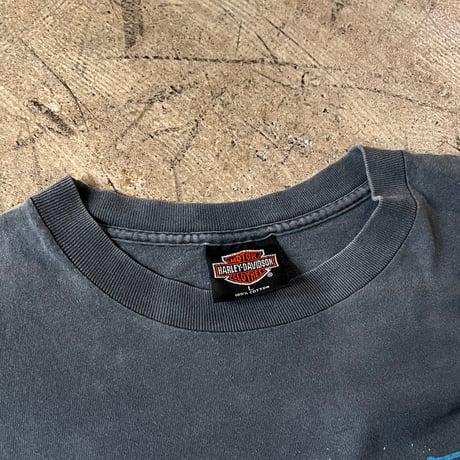FADE is BEAUTIFUL [No.7]  HARLEY DAVIDSON LEGENS LIVE WHERE LEGENDS ROAM LARGE 6675