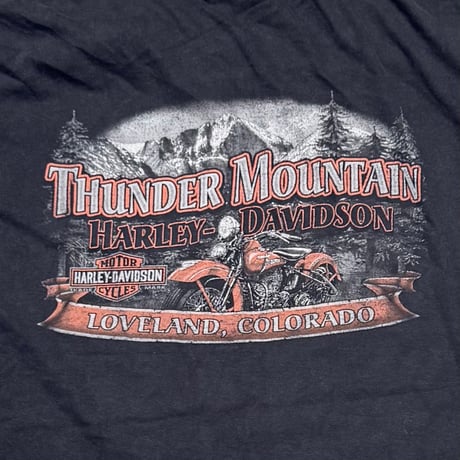 HARLEY DAVIDSON PIN-UP GIRL THUNDER MOUNTAIN 3XL 9069