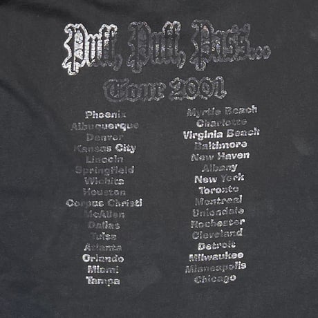 SNOOP DOGG PUFF PUFF PASS TOUR 2001 LS XL 2567