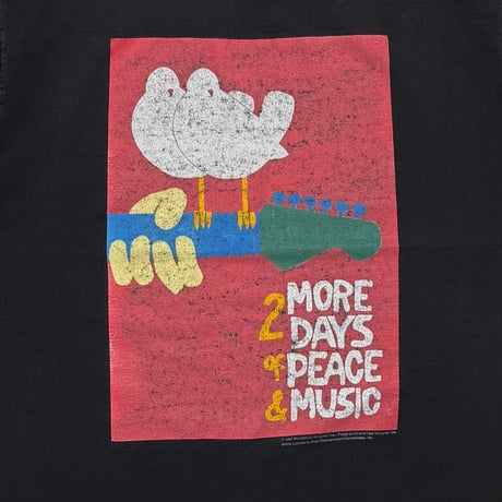 WOODSTOCK 1994 MORE 2 DAYS OF PEACE & MUSIC GEM XL 8041