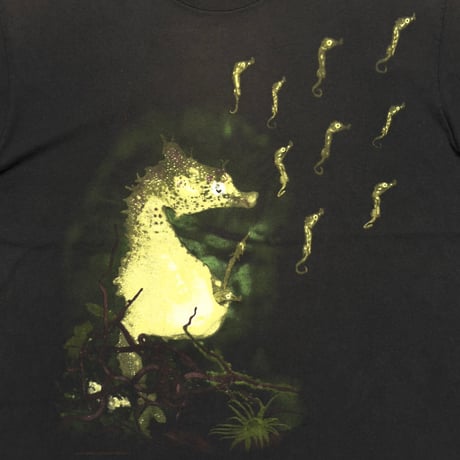 NIRVANA SEAHORSE ALL APOLOGIES FITS LARGE 1963