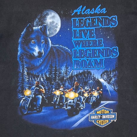 HARLEY DAVIDSON LEGENDS LIVE WHERE LEGENDS ROAM LARGE 2737