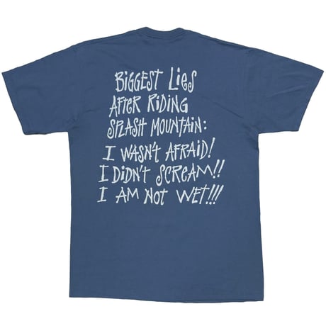 DISNEY VINTAGE SPLASH MOUNTAIN BLUE LARGE 5365