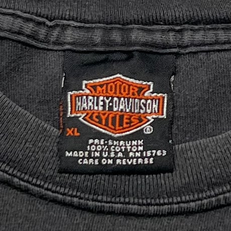 HARLEY DAVIDSON 2001 ENGINE FLAME LS BACK APPLETON EMBLEM XL 5029