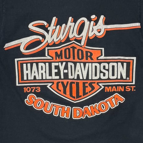 HARLEY DAVIDSON FLAMING EAGLE ARM FLAME LS FITS SMALL 3797