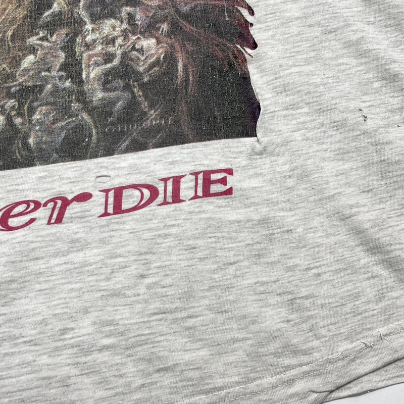 DORO PESCH ANGELS NEVER DIE ASH GREY EURO FITS 