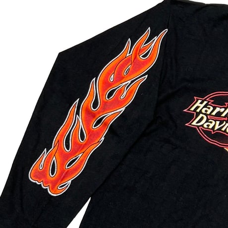 HARLEY DAVIDSON DOCKGATE MOTORCYCLES FLAME LS XL 3657