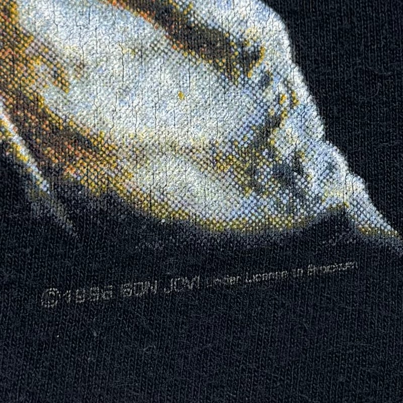 BON JOVI THESE DAYS WORLD TOUR 1996 FRUIT OF TH