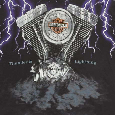 HARLEY DAVIDSON THUNDER & LIGHTNING OVP FITS XL 9100