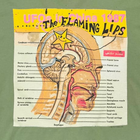 FLAMING LIPS UFO'S IN CHINA 1987 SAGE GREEN SOFTEE XL 9337