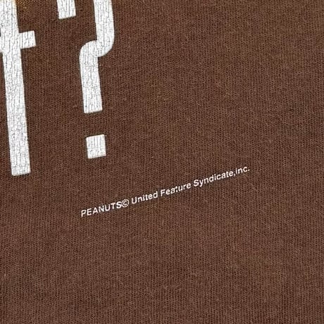 PEANUTS got dirt ? BROWN CHANGES LARGE 4571