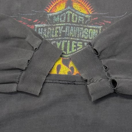 HARLEY DAVIDSON FLAME TAKE A RIDE IN THE COUNTRY ORWIGSBURG LS FADE XL 4282