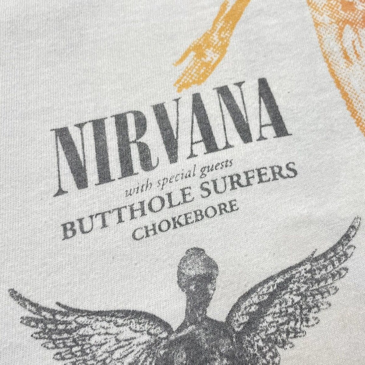 NIRVANA with special guests BUTTHOLE SURFERS IN