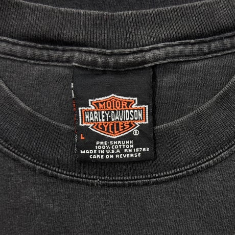 HARLEY DAVIDSON BIG EMBLEM ARM CHAIN PRINT 2001 TWIN STATES LS LARGE 3780
