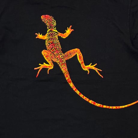 Marlboro LIZARD POCEKT TEE XL 8429