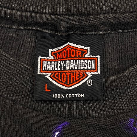 HARLEY DAVIDSON THUNDER & LIGHTNING OVP LARGE 3622