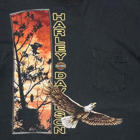 HARLEY DAVIDSON EAGLE SUNSET MIKE'S Delbarton, W.V. POCKET TEE LARGE 1875