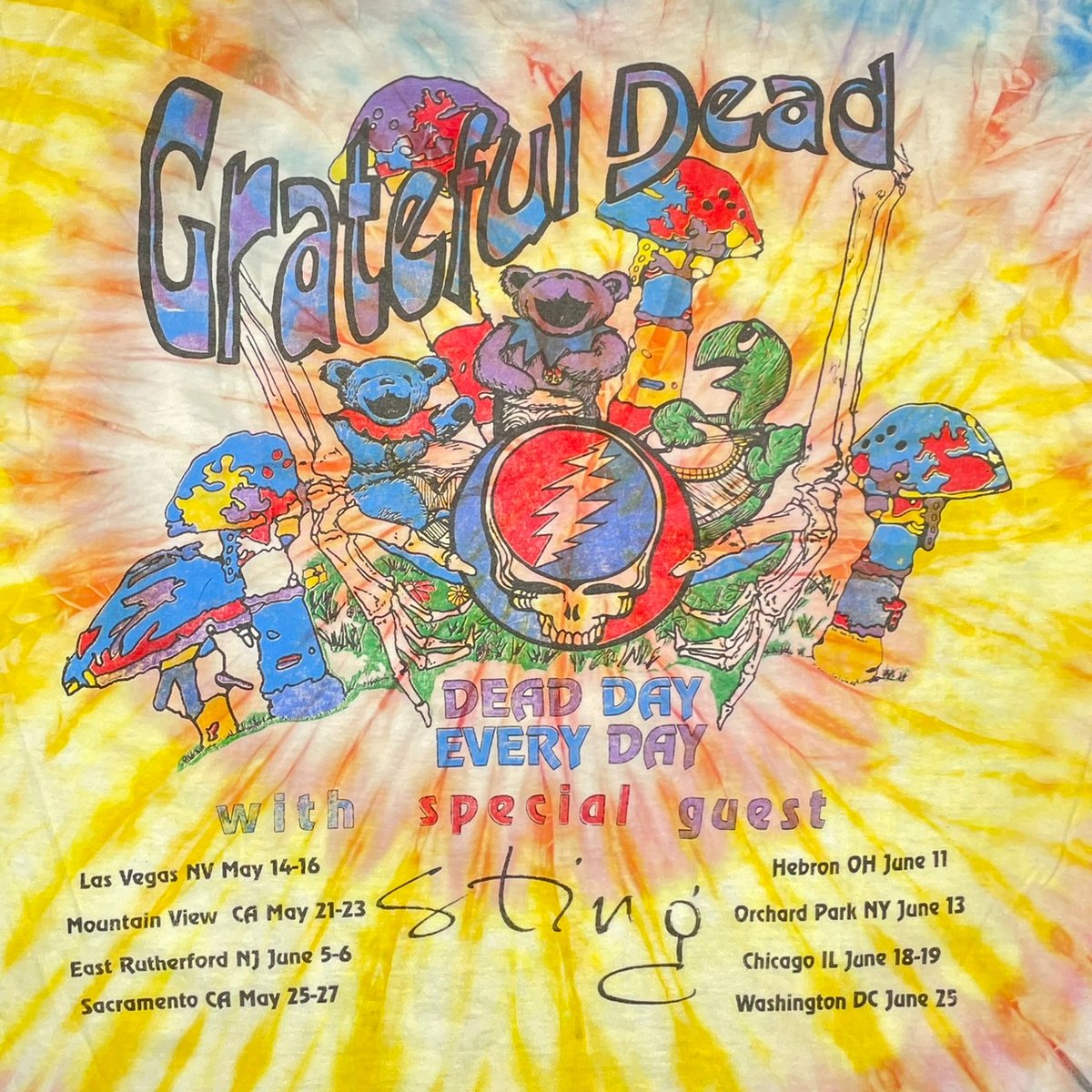 ★グレイトフルデッド1993サマーツアー両面★ディーンマーシャルL GRATEFUL DEAD SUMMER TOUR 1993 TIE DYE YELLOW X