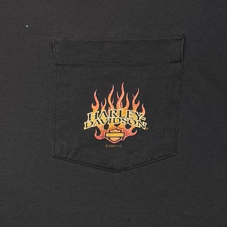 HARLEY DAVIDSON FLAMING SLEEVE SHELDON'S AUBURN LS XL 5942