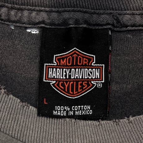 HARLEY DAVIDSON ENGINE A PHILOSOPHY FADED LARGE 0744
