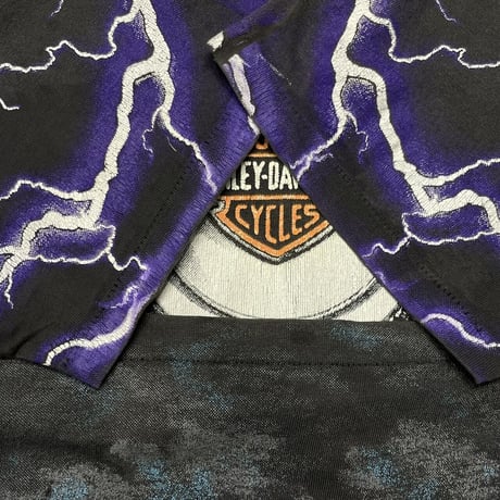 HARLEY DAVIDSON THUNDER & LIGHTNING FITS MEDIUM 7731