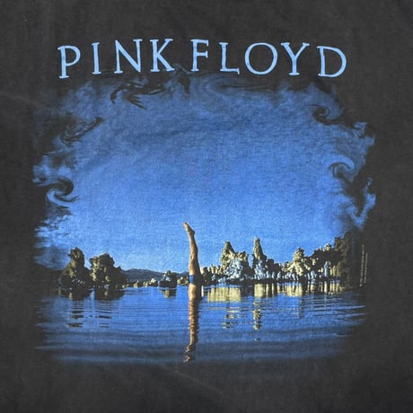 PINK FLOYD WISH YOU WERE HERE OSFA FITS XL 3463