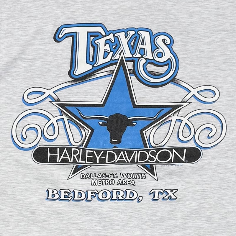HARLEY DAVIDSON ARM BLUE FLAME TEXAS EMBLEM LS